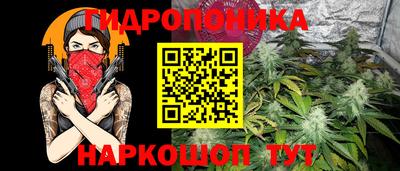 гашик Гусь-Хрустальный