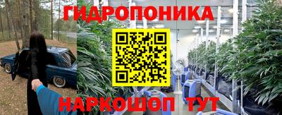 ГАЛЛЮЦИНОГЕННЫЕ ГРИБЫ Гусиноозёрск