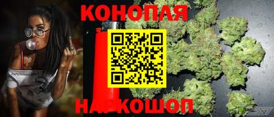 apvp Гусев