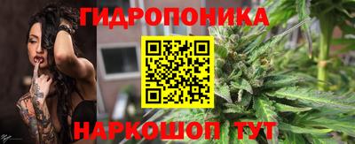 ГАЛЛЮЦИНОГЕННЫЕ ГРИБЫ Гусиноозёрск