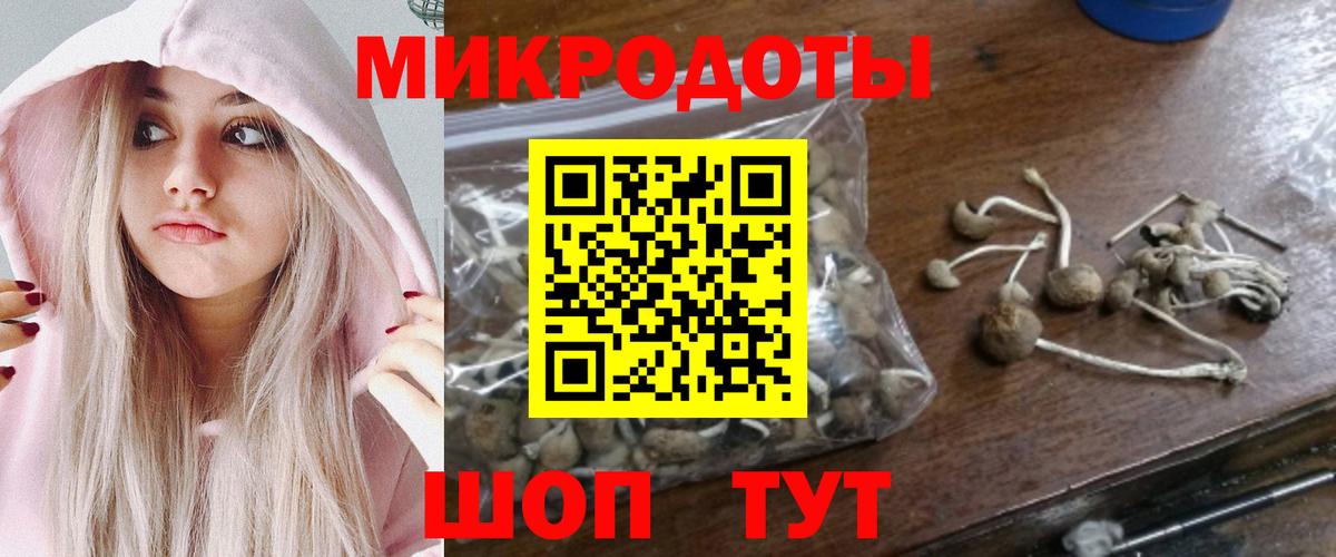 Псилоцибиновые грибы Psilocybine cubensis  Вход с VPN  купить наркоту  Псилоцибиновые грибы Psilocybine cubensis  Краснознаменск 